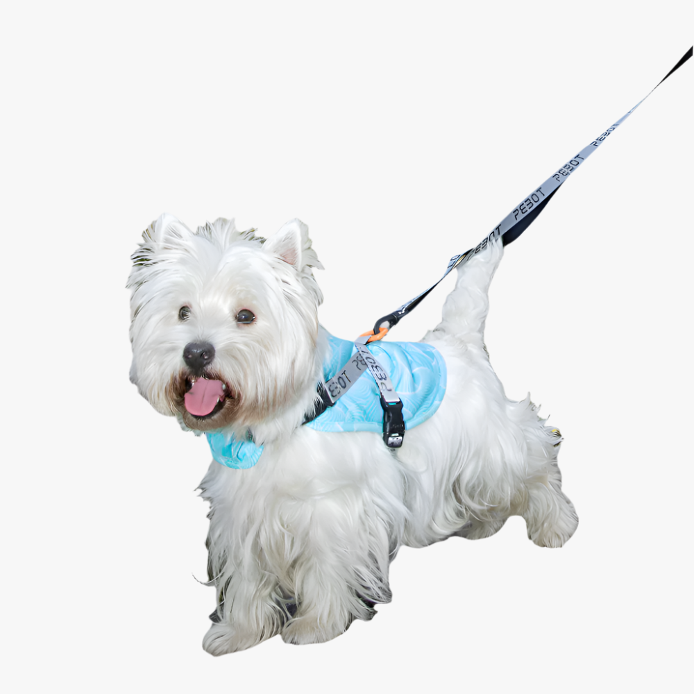 Hedwig Cooling Vest/Harness - Blue Geo