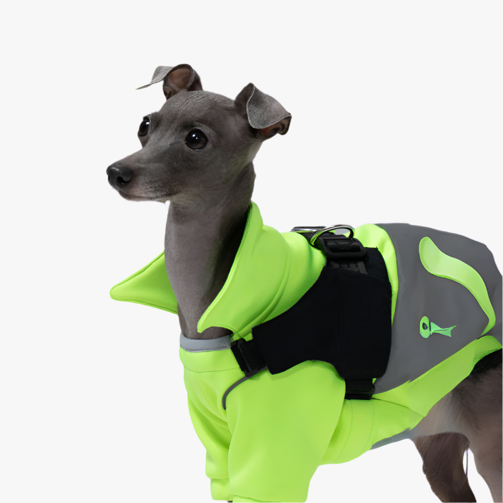 Falcon 2: Detachable Harness Onesie - Neon Green