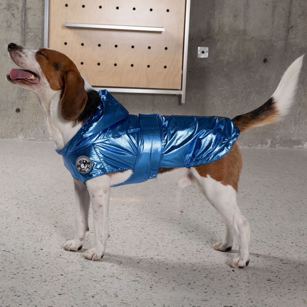 Alita Raincoat - Blue Metallic