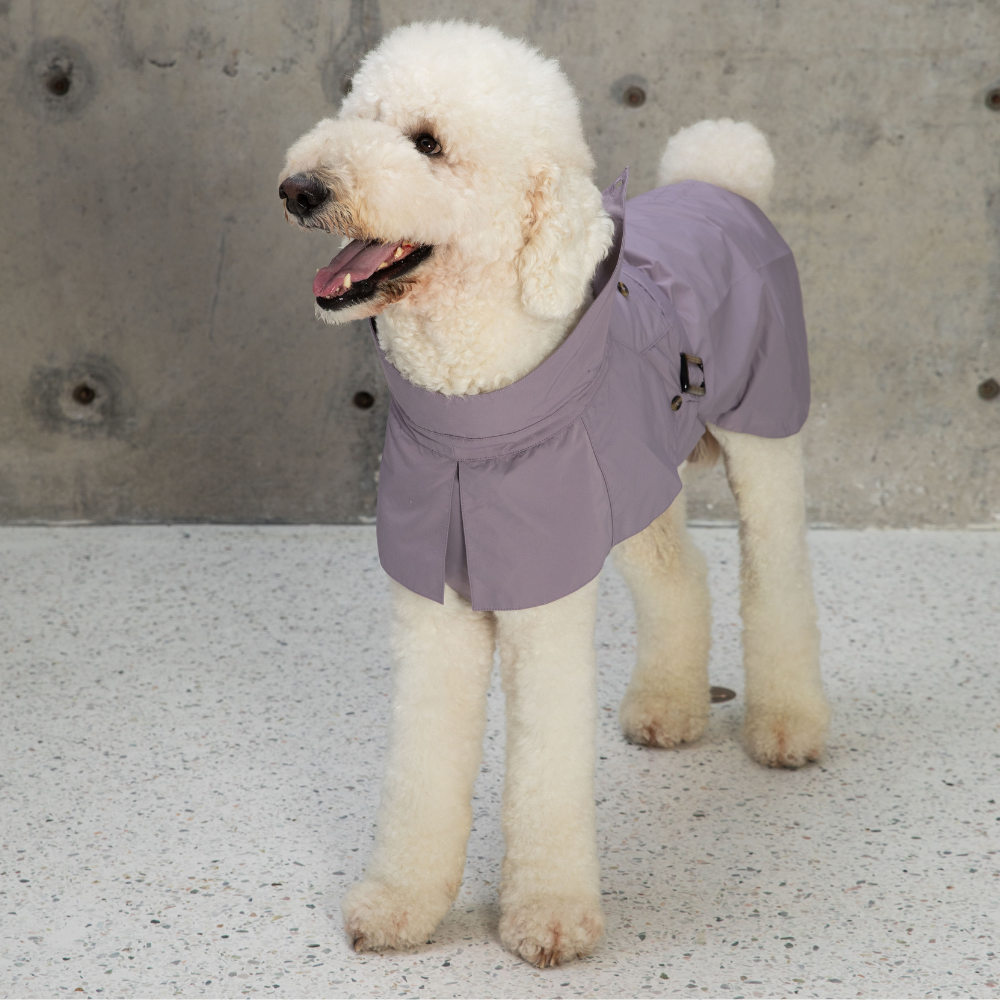 Cyberry Windbreaker - Lilac