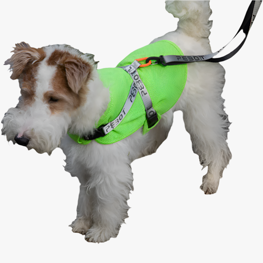 Hedwig Cooling Vest/Harness - Lime