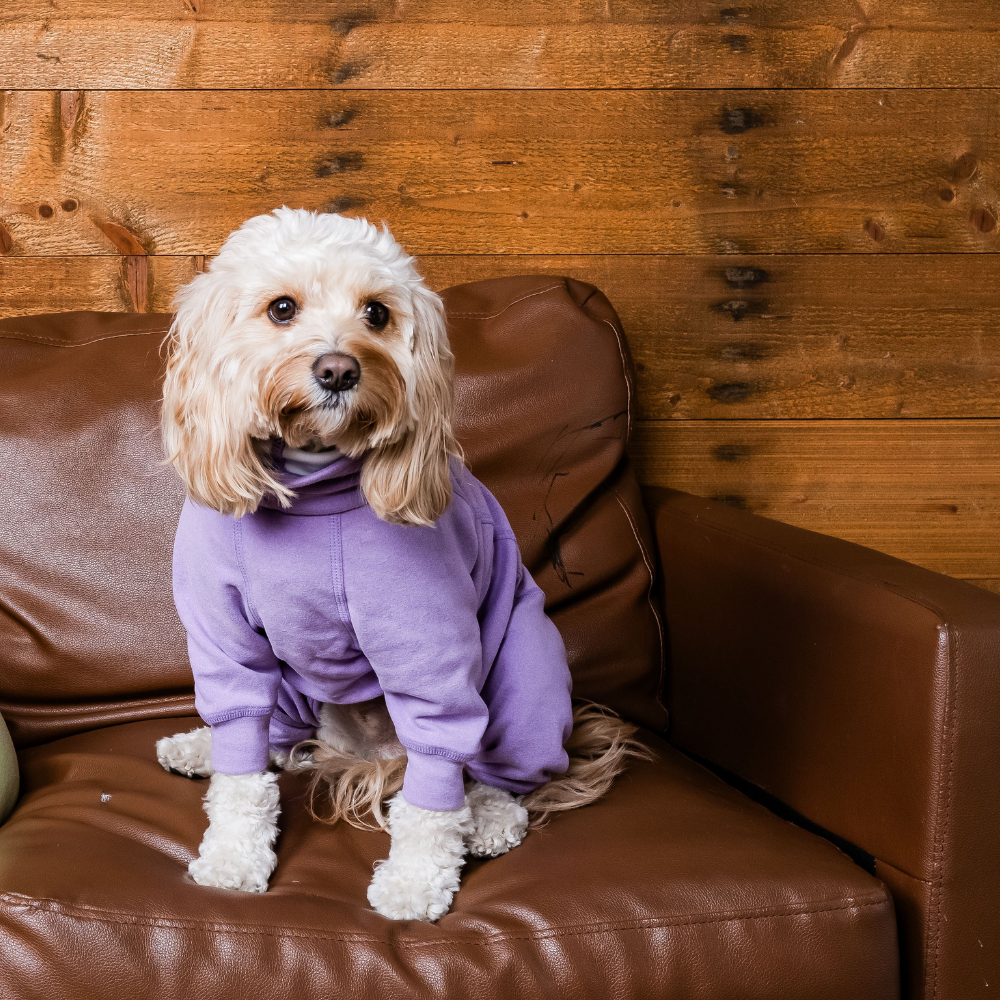 Gumdrop Onesie - Lilac