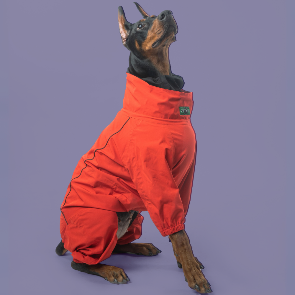 Rey Rainsuit - Red