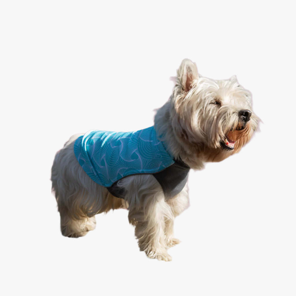 Dobby Cooling T-Shirt - Turquois Geo